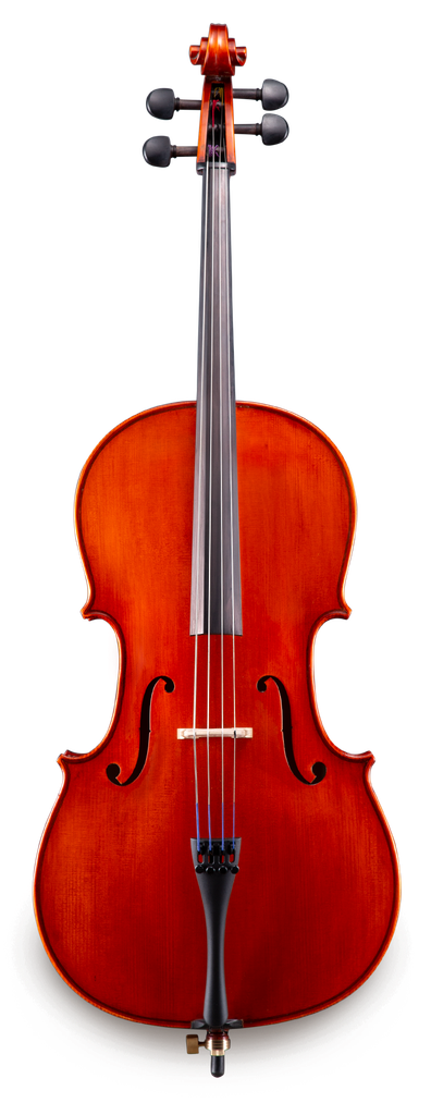 Samuel Eastman Series VC100SBC - 1/2 Cello Outfit