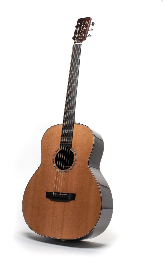 Auden Artist Rosewood Edgar Baritone Full Body 