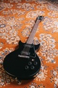 Gordon Smith GS2 Deluxe Exotic Shadow Burst Zebrano