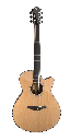 Furch Yellow Performance Grand Auditorium Cutaway Cedar - Rosewood