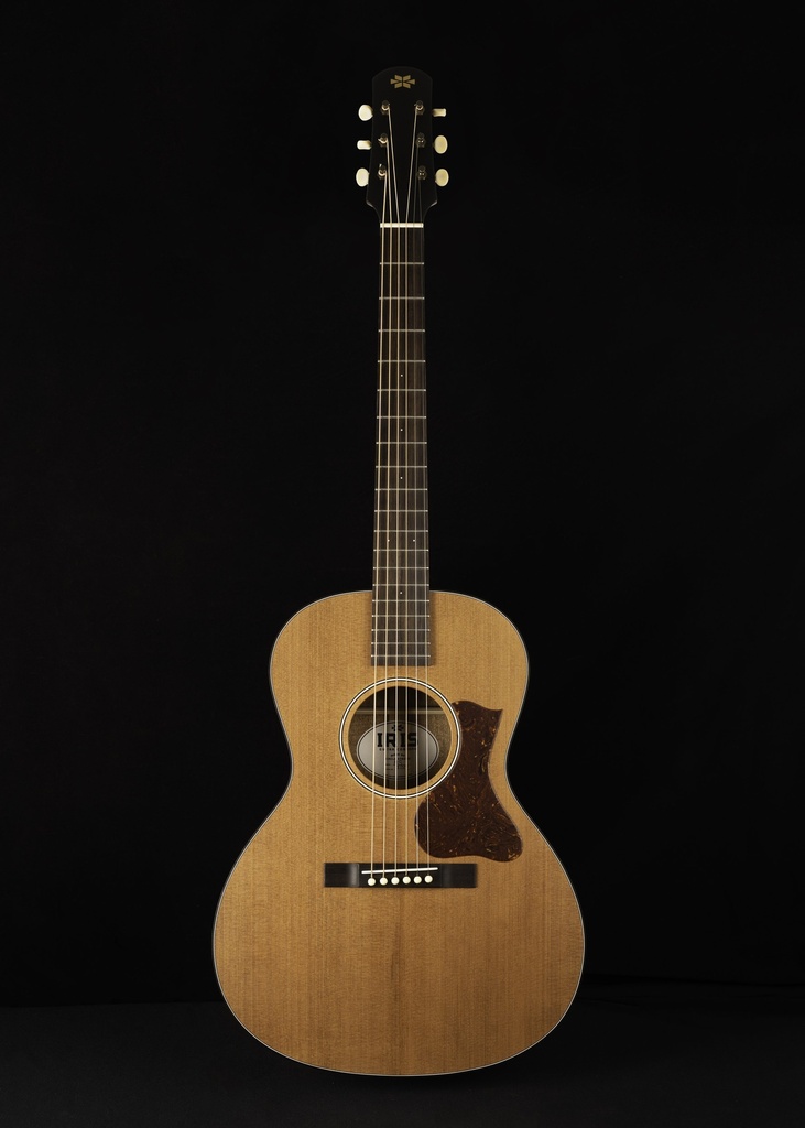 Iris MS-00 Dark Burst Sitka - Rosewood