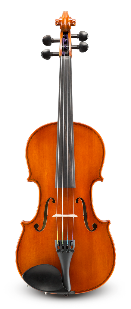 Samuel Eastman VL80 -1/2 Violin Outfit