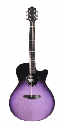 Furch Spectra Plus Gc Provence Violet Grand Auditorium Acoustic Guitar