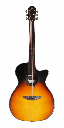 Furch Spectra Plus OM Cutaway Sienna Amber Acoustic Guitar