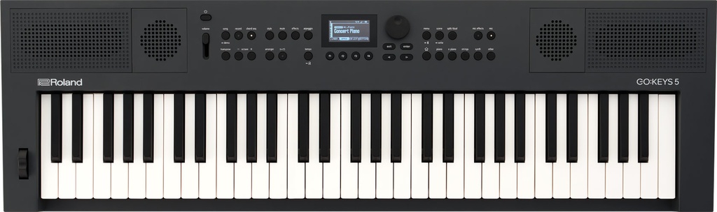 Roland GO:KEYS 5 in Graphite
