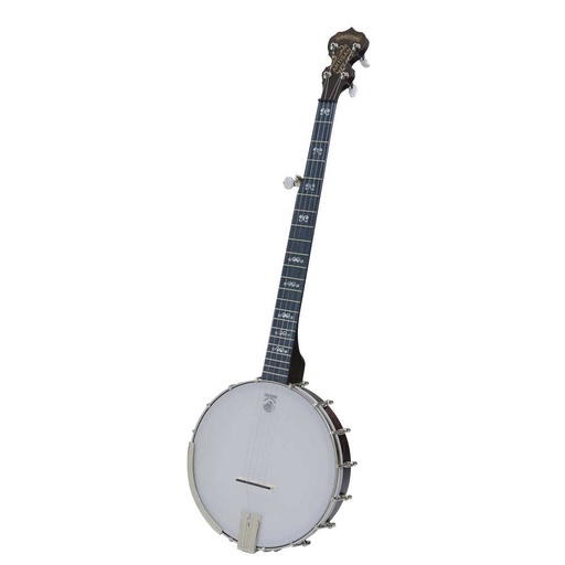 [DBC AG] Deering Artisan Goodtime 5-String Openback Banjo