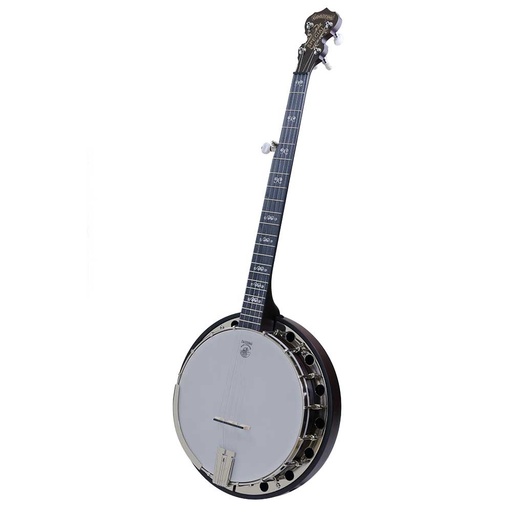 [DBC AS] Deering Artisan Goodtime Special Banjo with Resonator