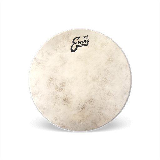 [EVANS TT14C7] Evans Calftone Drumhead 14"