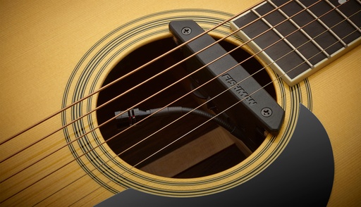[PRO-REP-103] Fishman Rare Earth Mic Blend Active Soundhole Pickup