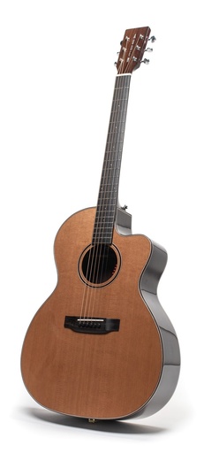 [AR-CHE-C1] Auden Artist Series Chester Rosewood Cedar Cut Away